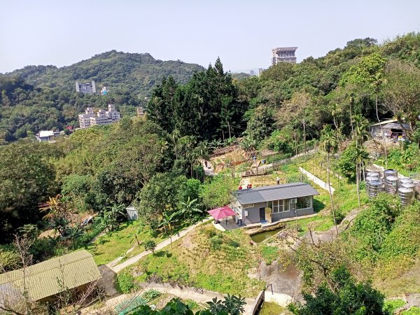 象獅豹虎-四獸山探秘之象山秘境（2-1 捷運象山站→無極瑤池宮）2065535