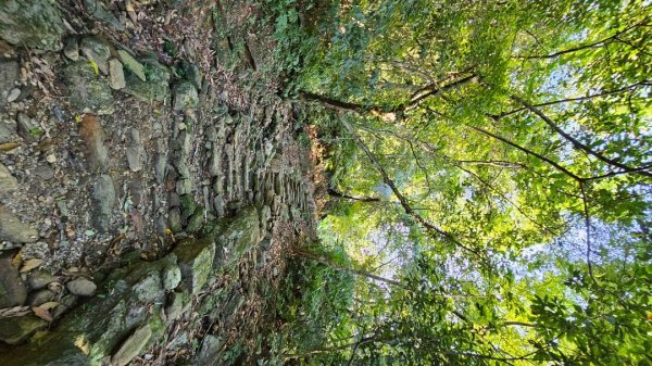 【爬山會爬上癮】五刷小百岳#089鯉魚山。2824764