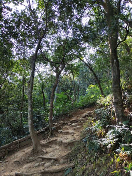 2024.01.02 飛鳳山2832142