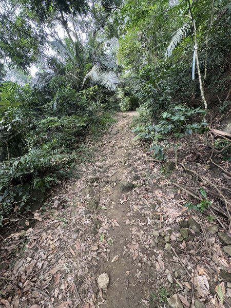 20251018台南 崁馬鞍部啟登崁頭山2920734