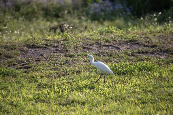 南澳/朝陽國家步道2751977