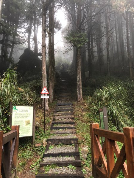 1080224不一樣的阿里山-大塔山532308