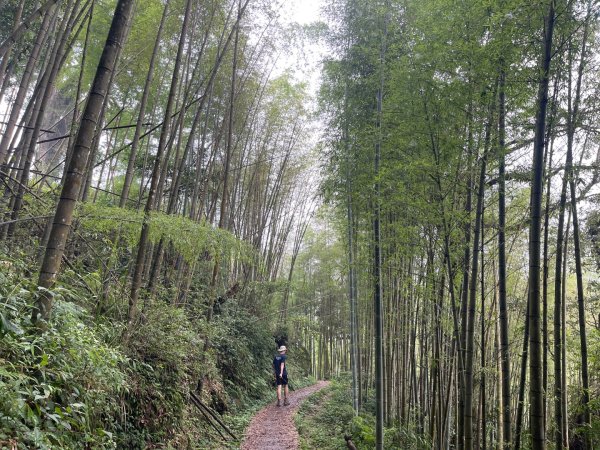 1150926霹靂山-大凍山O繞3129923