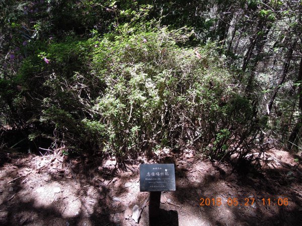 20180827-28_雪山主東852863