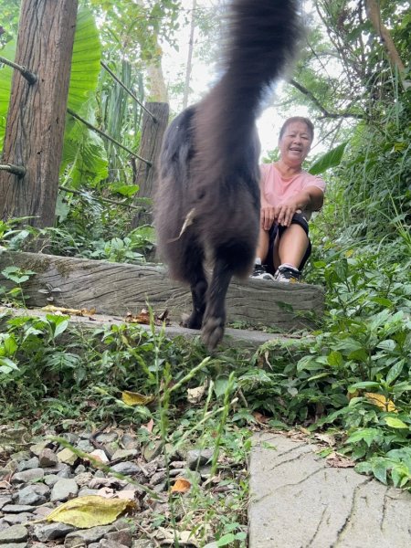 後棟仔山、挑筍古道、大尖山2920268