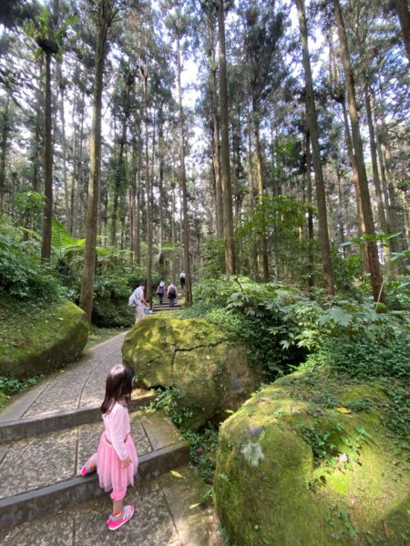 20191109貓仔們之溪頭森林步道探索757220
