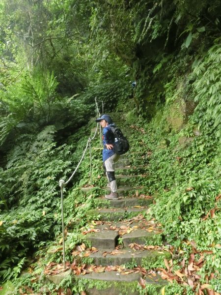 承天禪寺．天上山．桐花公園123455