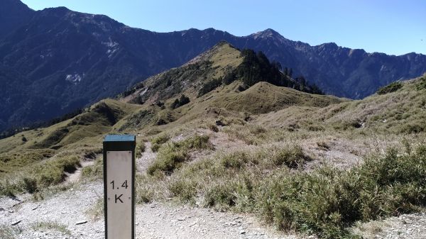 小奇萊步道+合歡山群峰334373