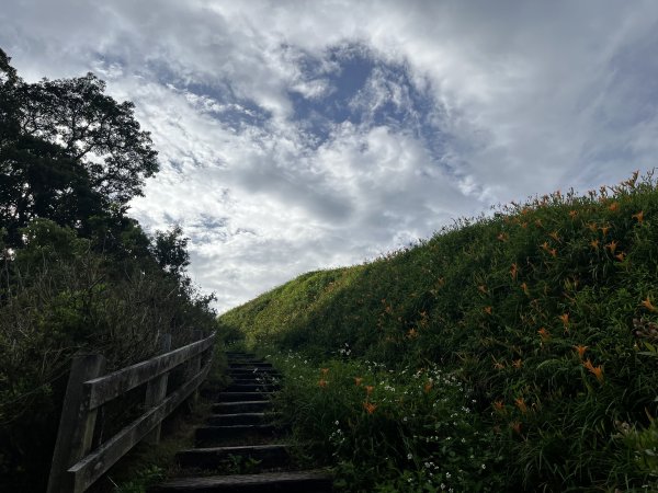 [漫遊縱谷 愛在花東-10/10] 2024_0818 太麻里金針山木馬步道（漫遊縱谷 愛在花東）2577167