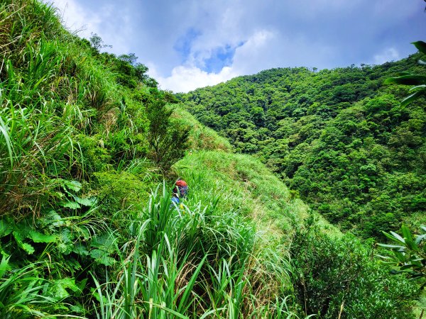 【盛夏消暑步道】桶後越嶺古道1739511