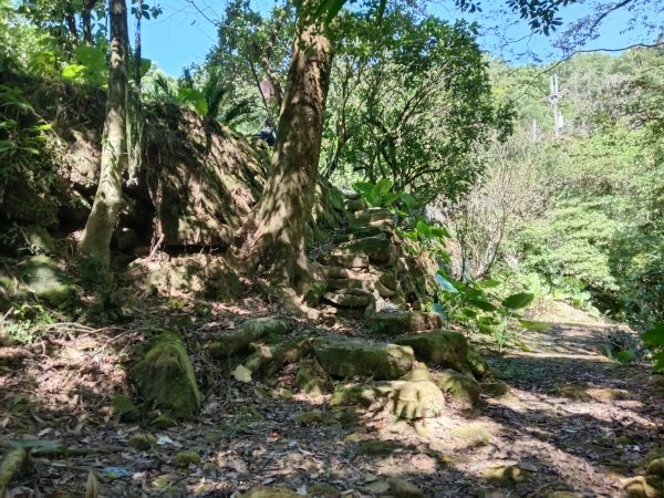 坪林區南闊瀨行(枋山坑古道+枋山坑崙+闊瀨越嶺保甲路O型)2916773
