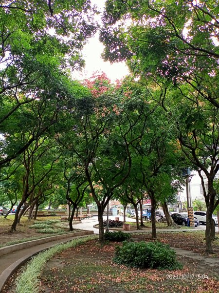 內湖港富廣場、瑞陽公園、文德三號公園、大港墘公園【走路趣尋寶、健康大穀東】2320115