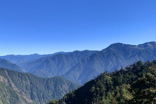 台中和平｜大雪山國家森林遊樂區｜小神木一點也不小．遠眺群山雲海大景1574363