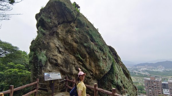 (姨婆趴趴走)第九集:攀登新北鶯歌石，鶯歌郊山步道群縱走(一)2167922