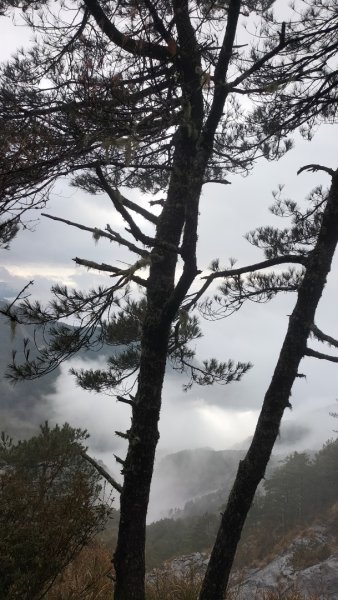 20250127_關山嶺山2706870