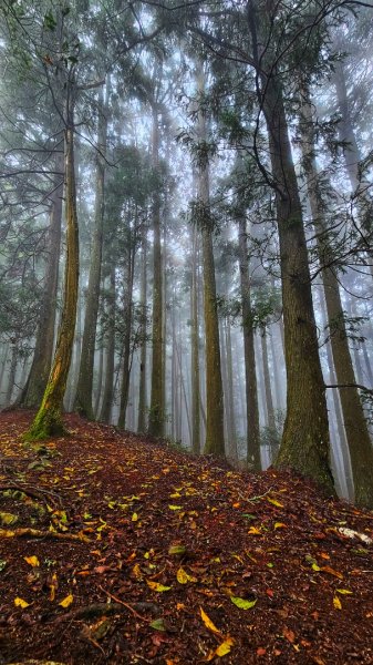 112.04.08 油羅山2123590