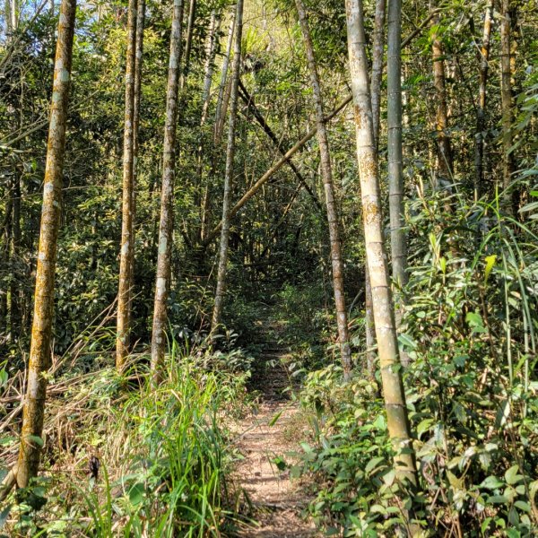 集集大山、車埕步道（小百岳）1628780