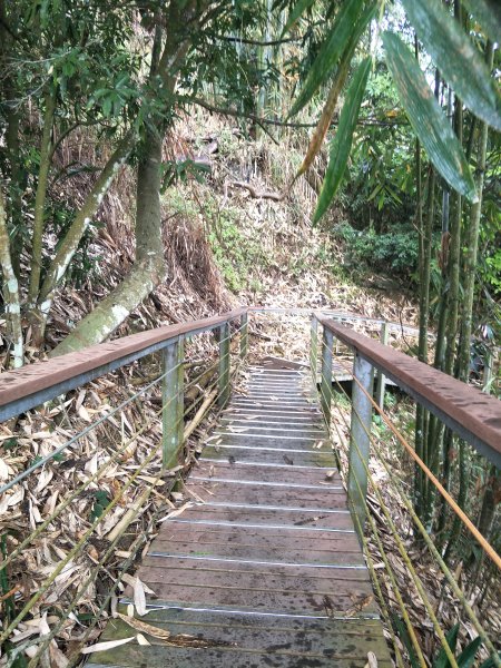 太極峽谷、竹山天梯步道1598895