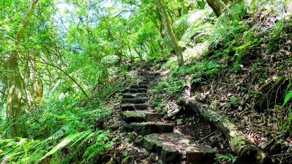 猴崁古道。盧特訪積2773271