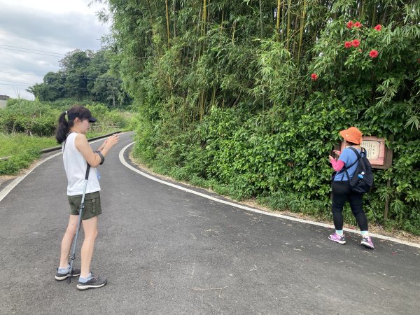 南埔村觀音步道+挑水壢古道2550275