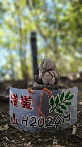 【細說大雪山木馬古道】橫嶺山、沙蓮山、笛吹山O繞2921079