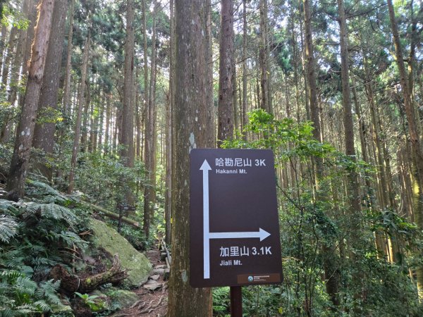 哈堪尼山2761937