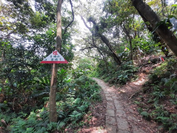 圓通寺烘爐地登山步道1425393