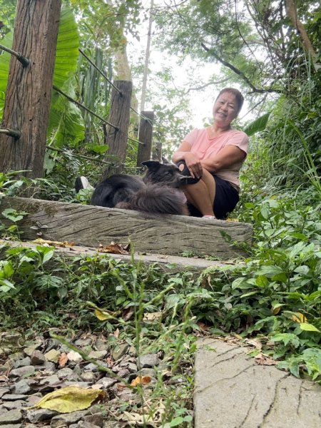 後棟仔山、挑筍古道、大尖山2920270