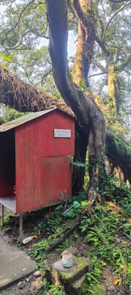 福源山步道2730327