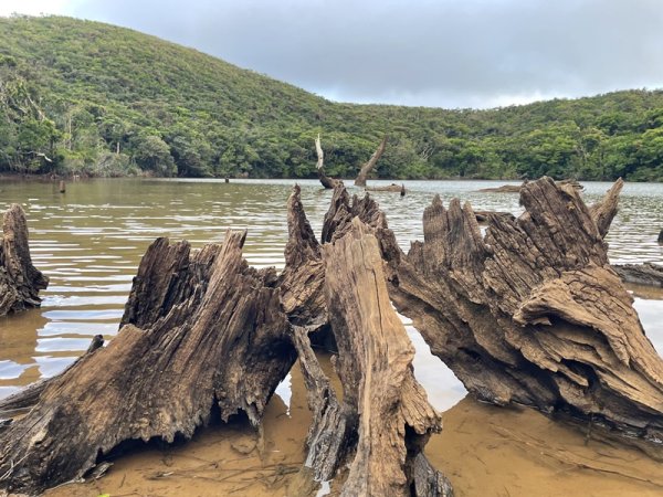 紅頭山大天池2893979