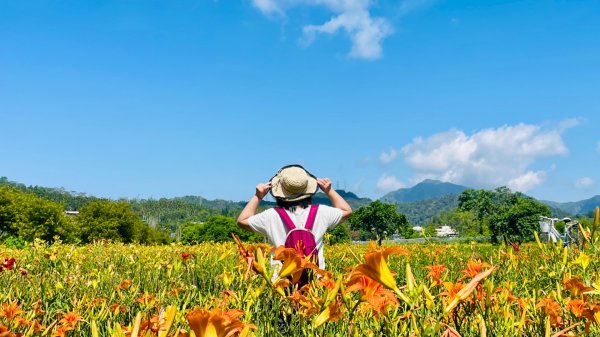 頭社活盆地2691009