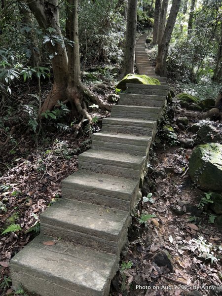 連走微笑山線第一段＋第二段（大棟山系）2853035