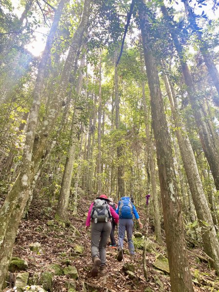 醜崠山納涼趣    2024/6/232534848