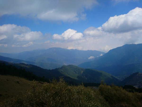 合歡山東峰上下(遊客中心起登)871475