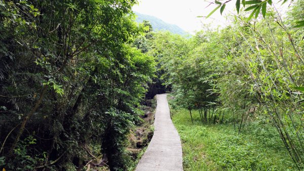 玉田古道,大湖越嶺保甲路2582302