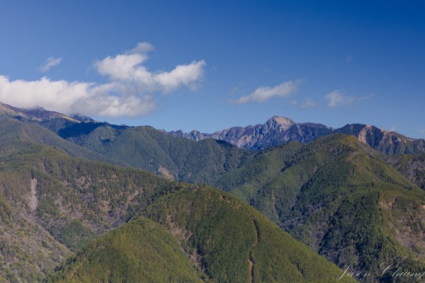 福壽山千櫻園櫻花季初開2717419
