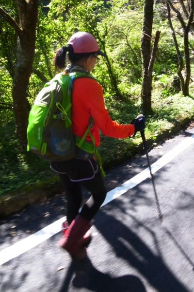 雷隱橋頂湖山O型走中正山觀景台(舊照片)393045