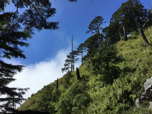 玉山前峰一日遊221016