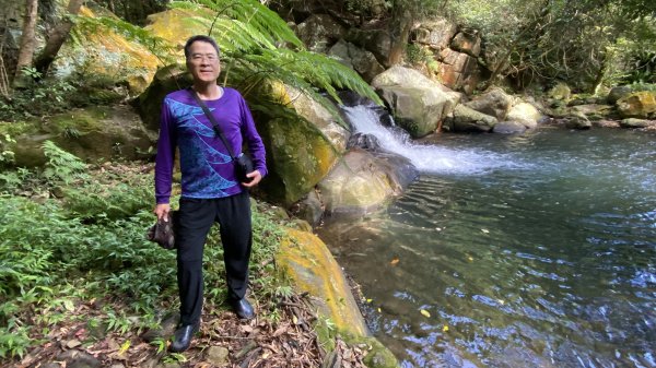 走青山瀑布探老梅冷泉|Qingshan Waterfall|秘境不秘|老梅瀑布|峯花雪月2561840