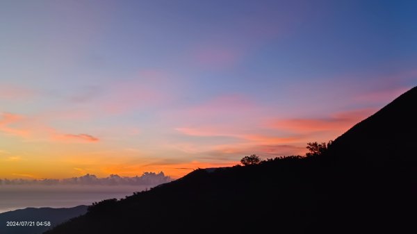 雲山水花鳥蝶 - 天龍國阿伯的日常7/18 & 21、22、292555554