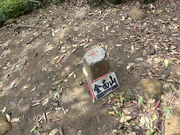 桃園金面山2752293