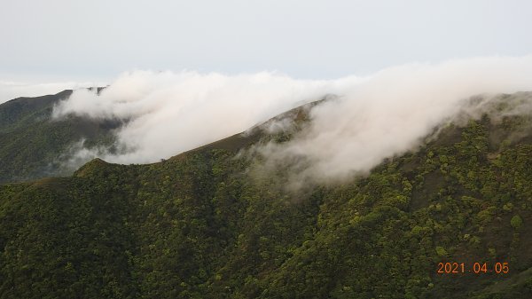 0405陽明山再見雲瀑，今年以來最滿意的一次1335469