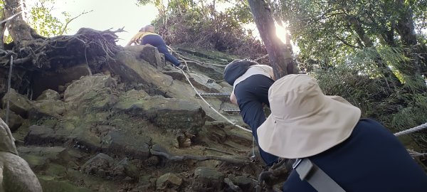 2024/09/15_仙山登山步道2595306