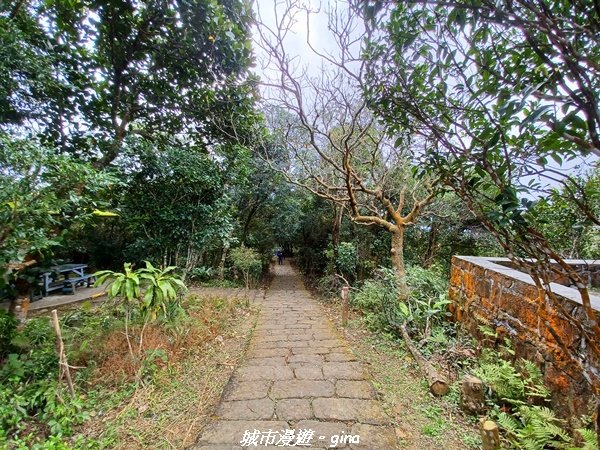 【台北。內湖】山頂好眺望。 小百岳集起來。 編號8小百岳大崙頭尾山親山步道1590490