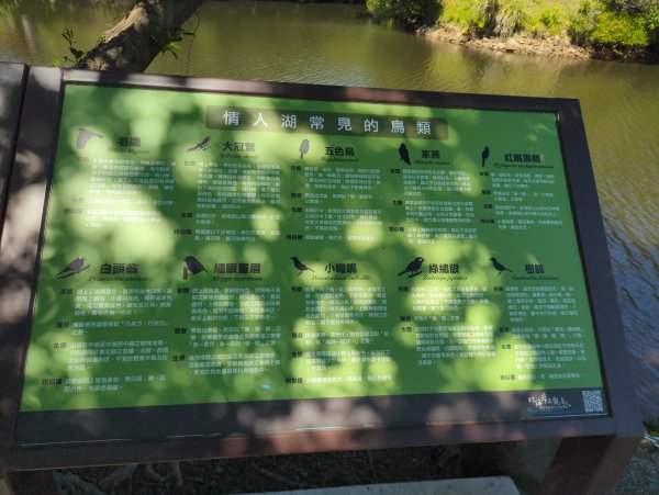 2025.09.13－情人湖步道&大武崙山2885814