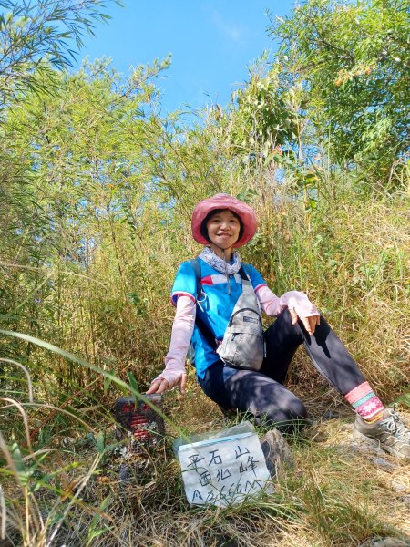 【台中和平】大雪山啞口觀景台步道2933094