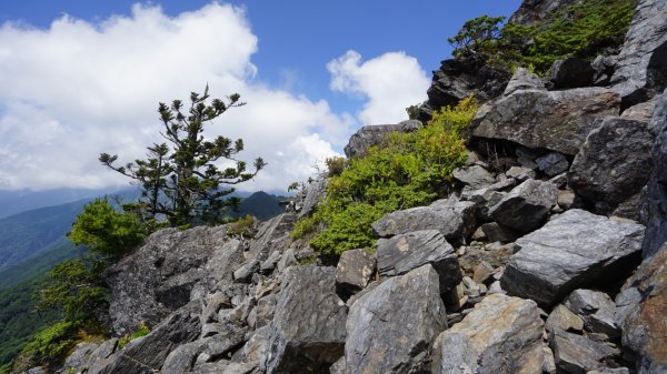 南橫溪頭山1789946