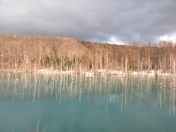日本北海道青池2759847
