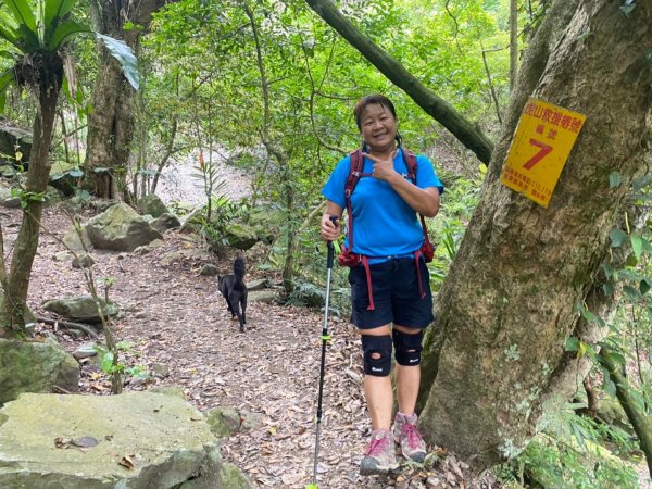 苗栗縣泰安鄉虎山步道1699801