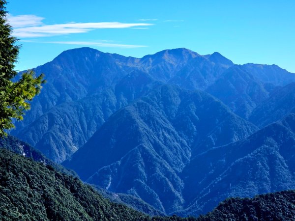 大雪山森林遊樂區賞楓2966058